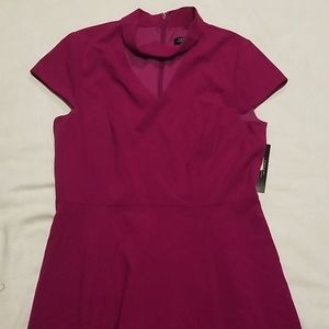NWT Dress